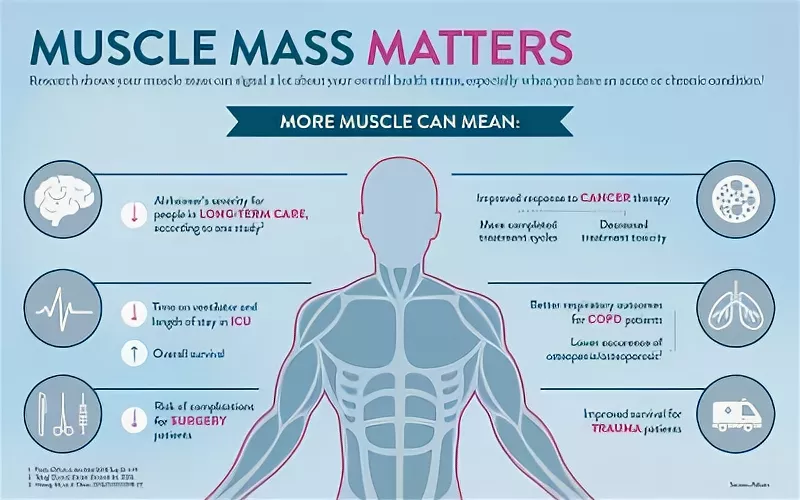 Maintaining Muscle